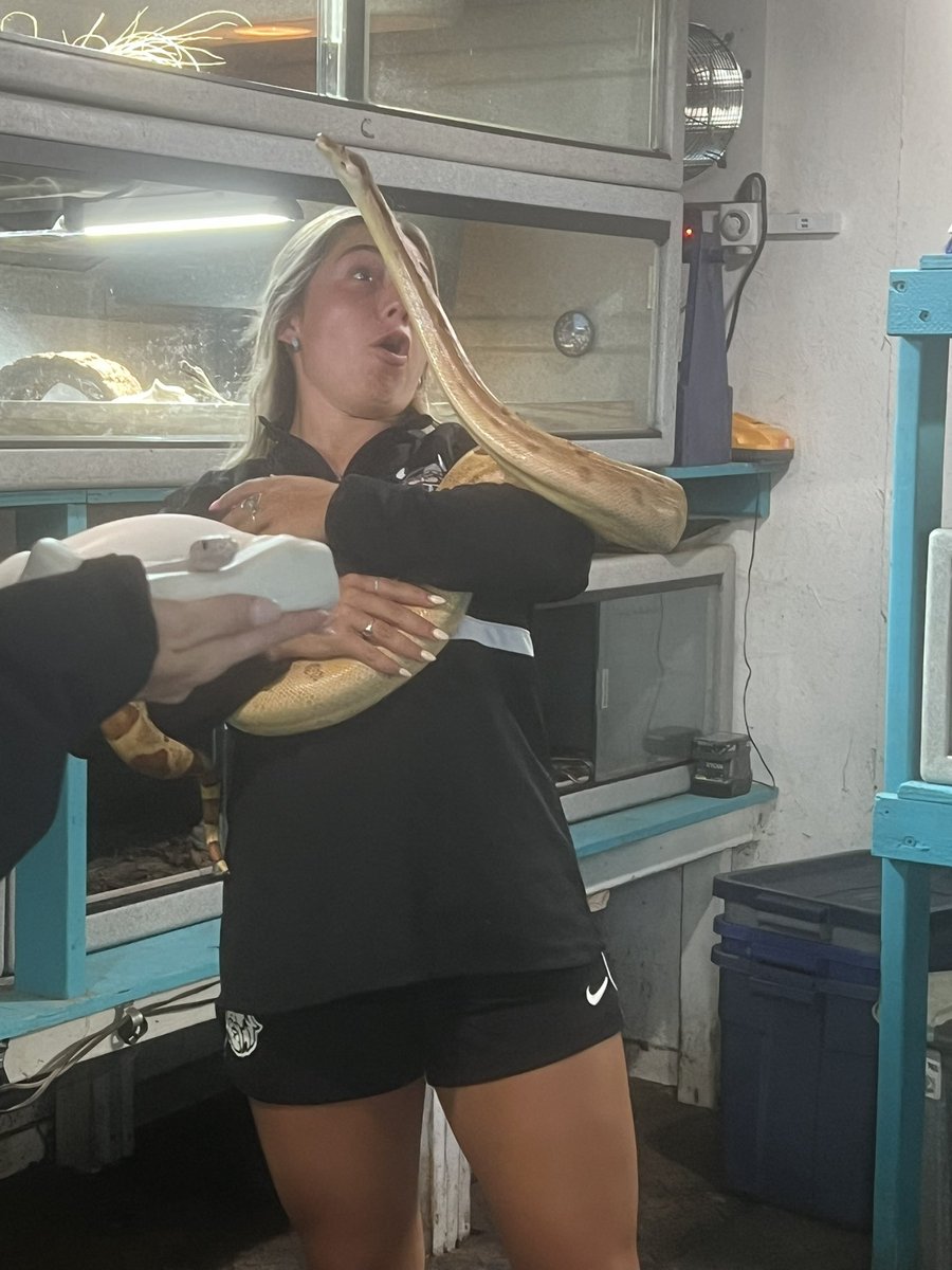 CSU_WomenSoccer's tweet photo. A night with the 🐢

#GoVikes https://t.co/WYbZ3wL50H