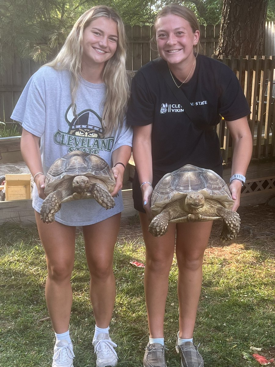 CSU_WomenSoccer's tweet photo. A night with the 🐢

#GoVikes https://t.co/WYbZ3wL50H