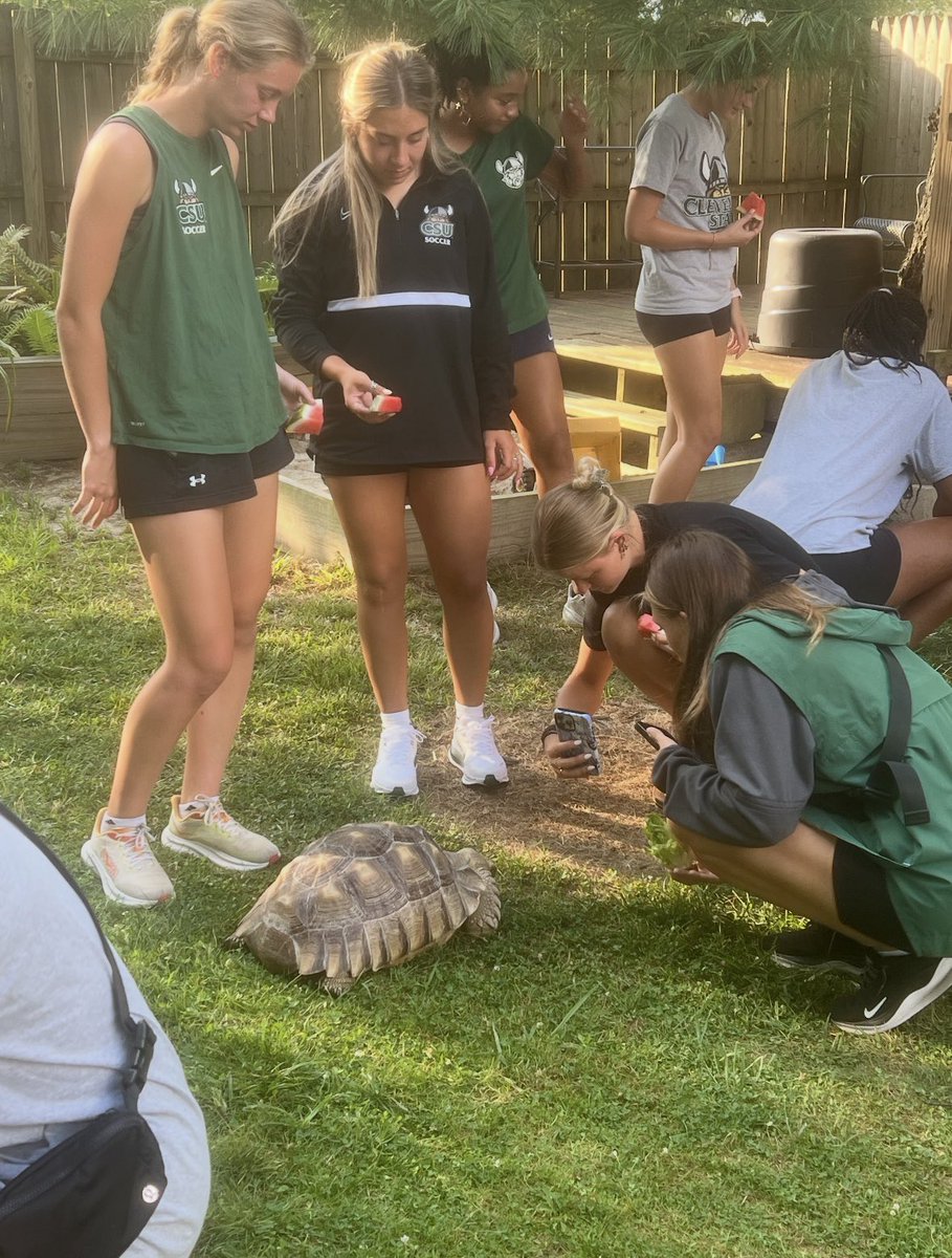 CSU_WomenSoccer's tweet photo. A night with the 🐢

#GoVikes https://t.co/WYbZ3wL50H