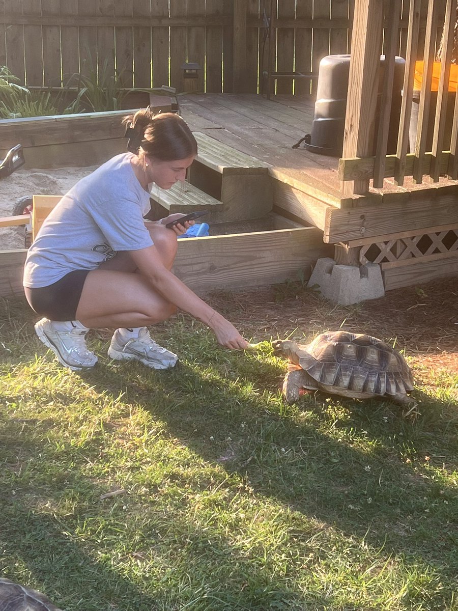 CSU_WomenSoccer's tweet photo. A night with the 🐢

#GoVikes https://t.co/WYbZ3wL50H