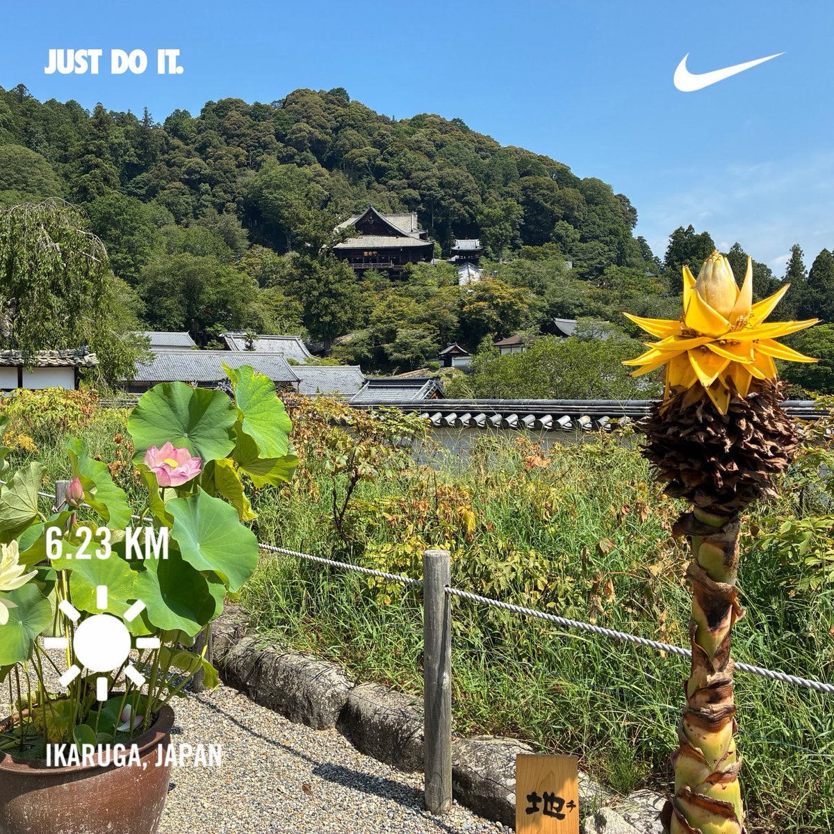 kenko0924's tweet photo. 立秋です🍂
暑いけどホットコーヒーでも飲もう☕️
#nikeplus #justdoit https://t.co/xcWJeU6rA1