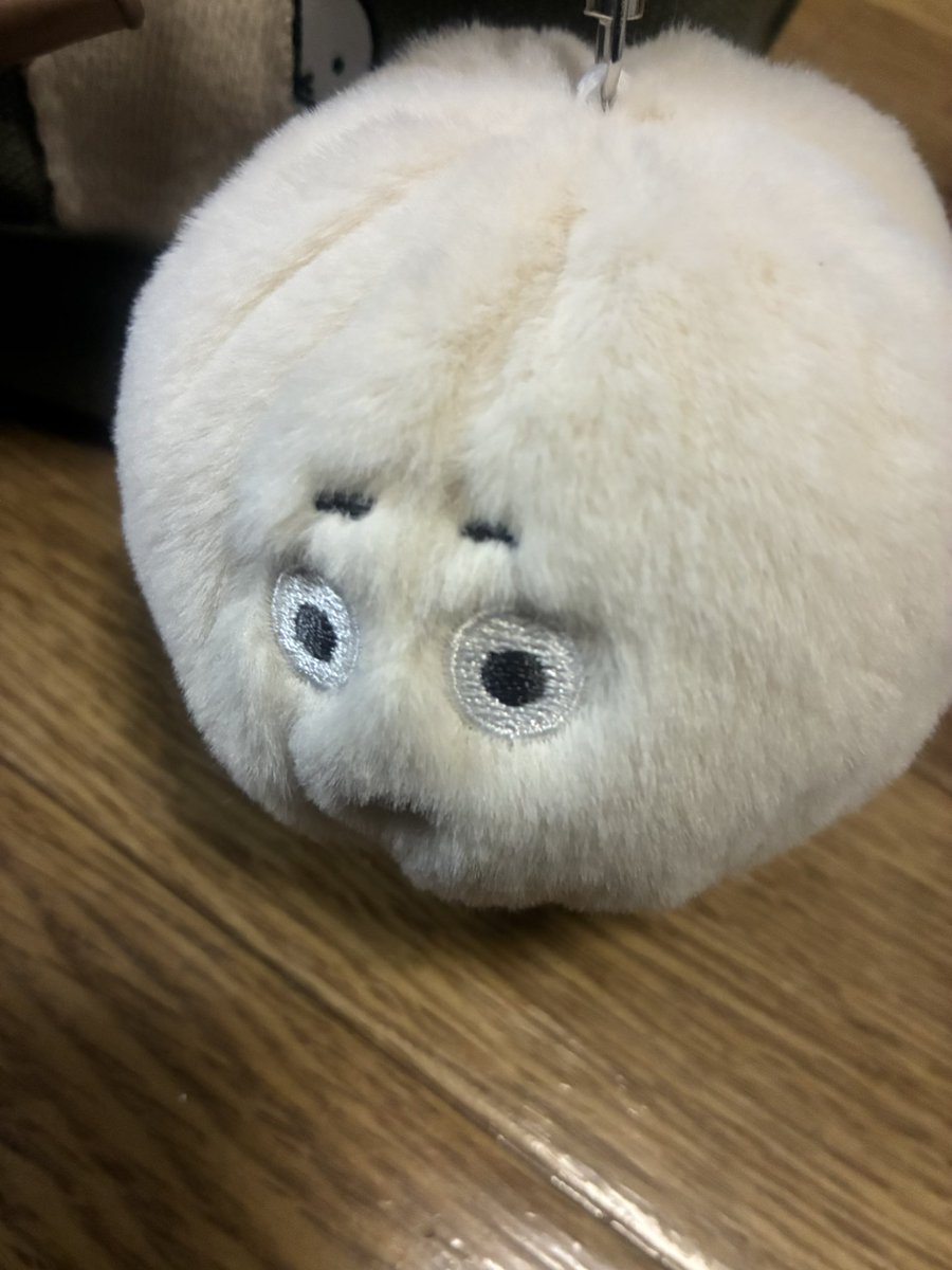 ruru6300's tweet photo. 気がついたら
カバンに真っ白しろすけがついてた

「ママにそっくりだったから買った」

娘が付けてくれてたみたい。

優しい日常

良いよね？
私、歩いても。 https://t.co/390WE4Th7q