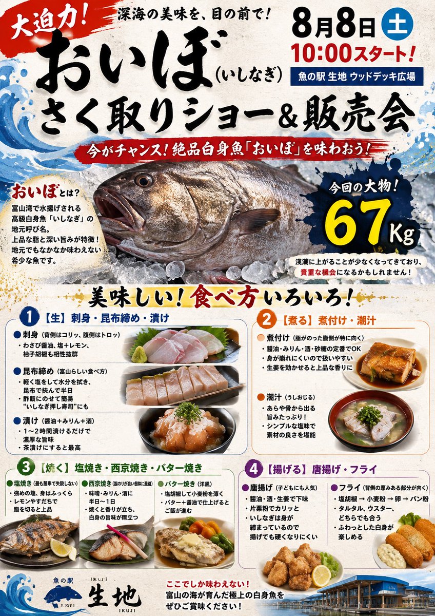 toretatekan's tweet photo. あす、おいぼ（いしなぎ）🐟
さく取り＆販売会🎊👏

10時開始なので、ぜひお越しください～🎉
おいぼは絶品の白身魚で、幻のお魚です😇 https://t.co/NXW5V1kxSl