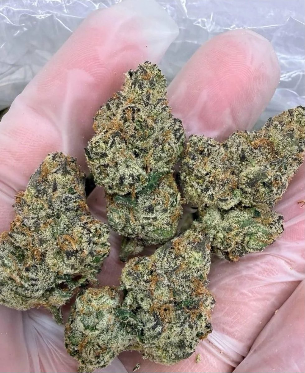 kween_89's tweet photo. MENU 🇦🇺 ➡️ https://t.co/GI1Qzbs2AE

Peanut butter grenades grandma cookies rice pink Kirby edition
Top marijuana 🔥 

#drugtwt #aussie #marijuana #coketwt weed
Cannabis Express Delivery 🚚 in 🇦🇺
Perth , Adelaide , Gold Coast , Canberra , Newcastle, Central coast, Sunshine Coast https://t.co/LWKefhHqIa