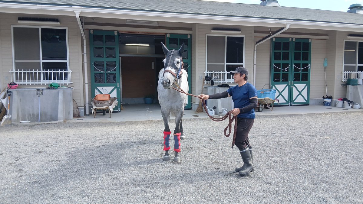 thanks_jumboimo's tweet photo. みんなにお見送りされたけど、馬運車に乗るのを嫌がって帰ってきたスパちゃん✨
最後までみんなを笑わせてくれました！
(この後、乗って出発しました)
#テイエムスパーダ https://t.co/sOrwdtVUVh