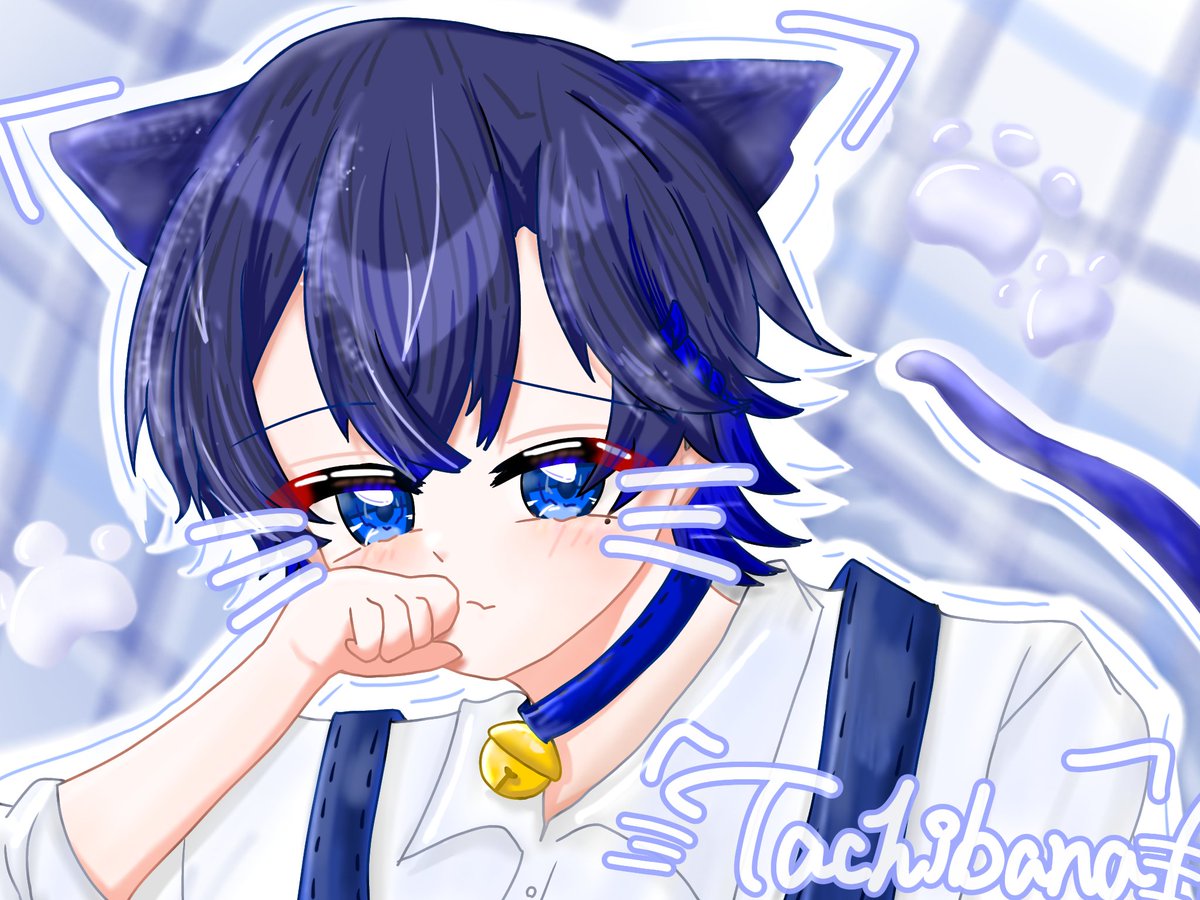 misto_0312's tweet photo. ばにゃ🐾
#橘FA https://t.co/KBggXkMHCU
