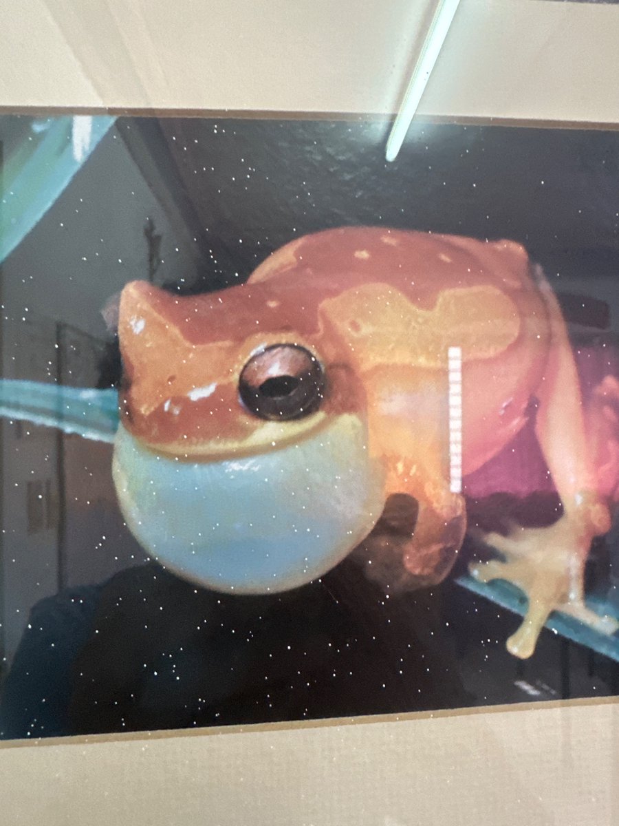METALLICR4GE's tweet photo. { FAT } https://t.co/9CO1QM7UJD
