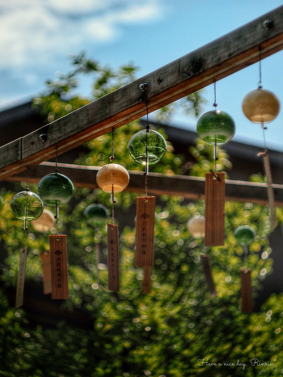 7725rirarin's tweet photo. 🎐𓂃𓈒𓂂

#川越氷川神社 #ｵｰﾙﾄﾞﾚﾝｽﾞ https://t.co/ZIoRiS9C03