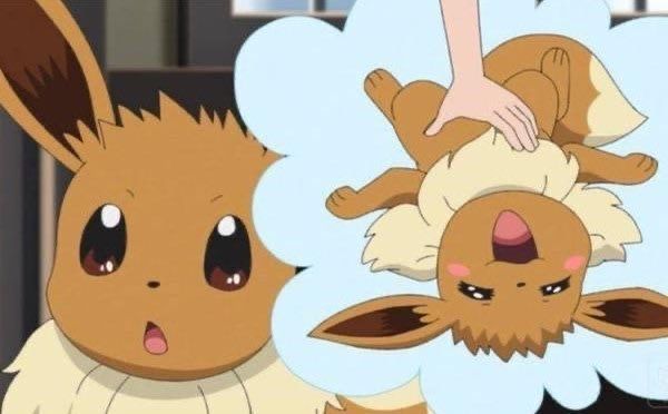 Pokemonpshot's tweet photo. eevee thinking about belly rubs https://t.co/Ao6pTe84wr