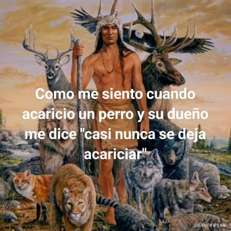mmarinavidal's tweet photo. https://t.co/S3fAsw0WFg