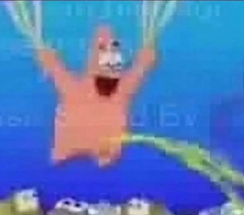 _Milkypaws's tweet photo. How it feels to not be able to go past styro https://t.co/nJLnJqQde9