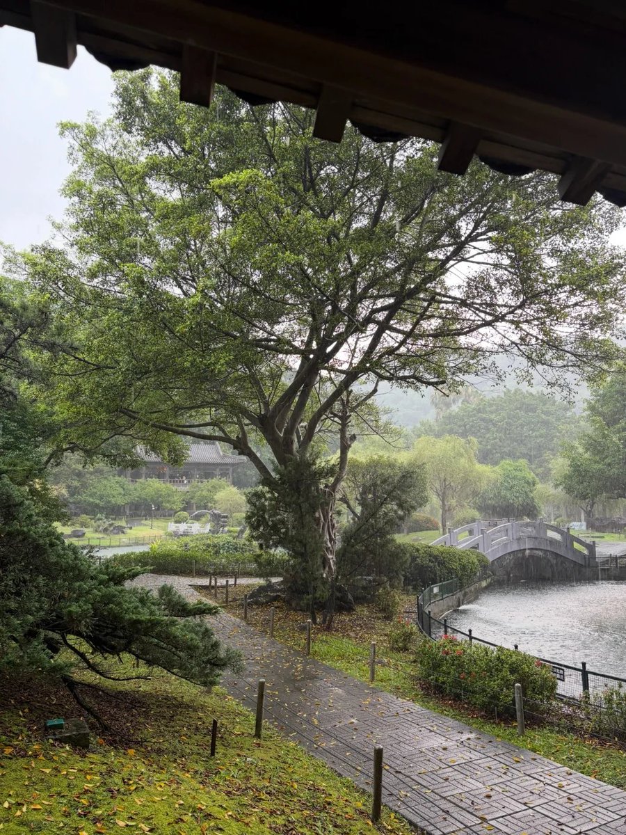 EstheticsFree's tweet photo. 今日の豪雨 https://t.co/rA4LpMZJh1