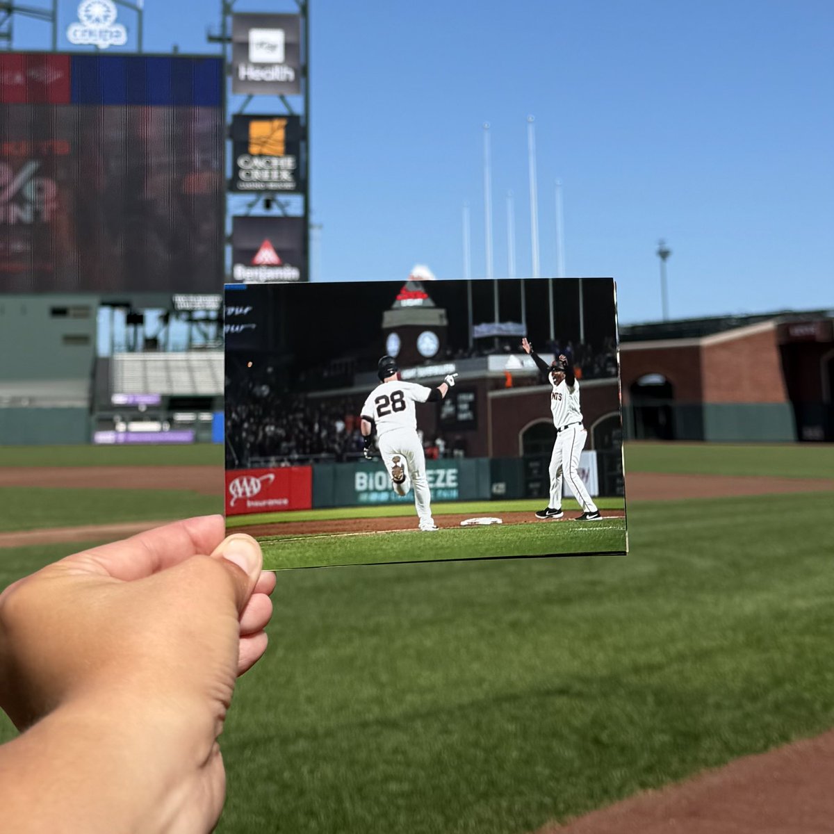 SFGiants's tweet photo. A flashback before the #SFGiants Wall of Fame gains five new members 📸 

Brandon Belt, Brandon Crawford, Joe Panik, Buster Posey and Pablo Sandoval are the 2026 inductees!

Don’t miss the ceremony on Saturday: https://t.co/nEDPROaOLw https://t.co/0WYOpZaJED