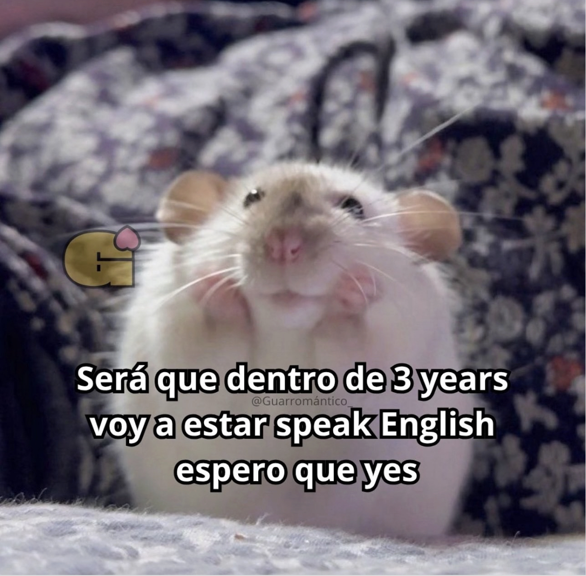 Guarromantico_'s tweet photo. Espero que yes. https://t.co/khZ0KNC1sm