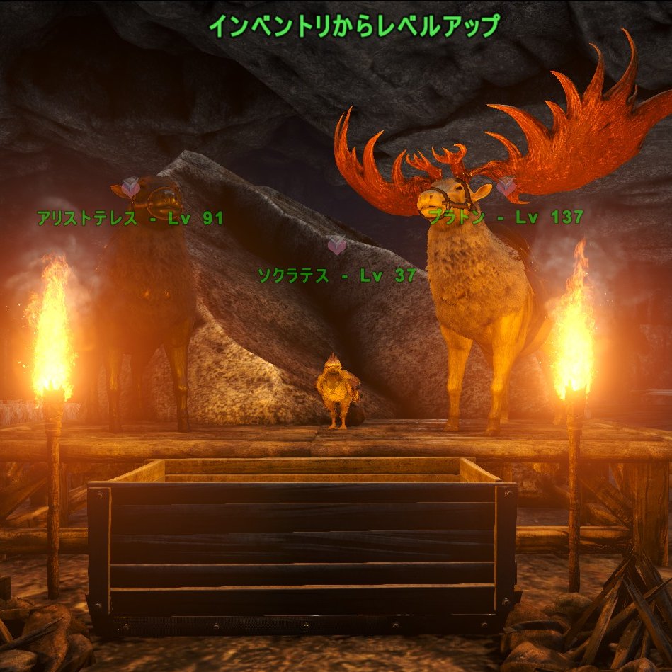 sazinage's tweet photo. おはようございます！
昨日ログインしたら拠点にソクラテス、アリストテレスにプラトンまでいました😂
生物のチョイスが絶妙過ぎるｗｗ

#ASE https://t.co/NVWDeH8MLV