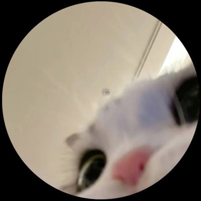 vror16's tweet photo. #صورة_جديدة_للملف_الشخصي https://t.co/oF1akdLnDn
