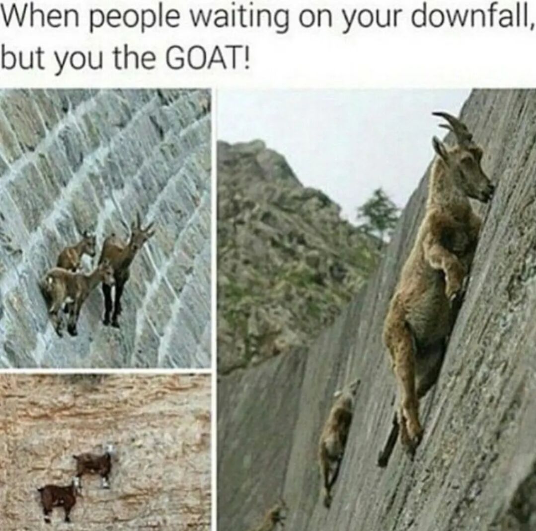 WholesomeMeme's tweet photo. https://t.co/dOagYPS3no
