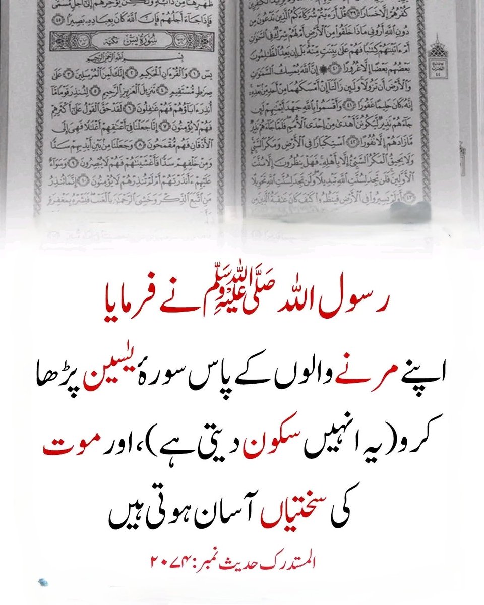 __SZ22's tweet photo. السلام علیکم ورحمتہ اللہ وبرکاتہ https://t.co/P8PzjPYwvc