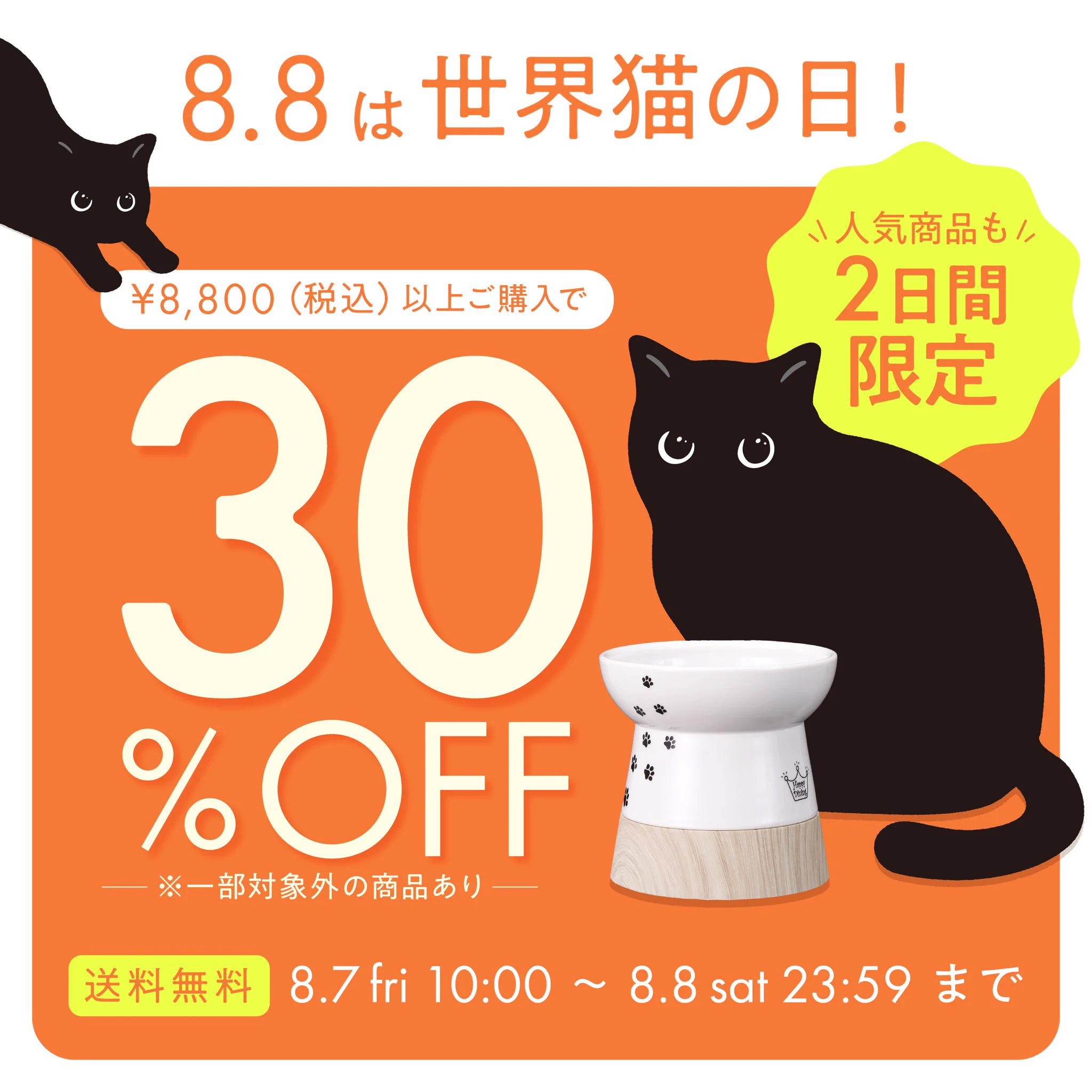 猫壱（necoichi）公式 (@necoichicojp) / X