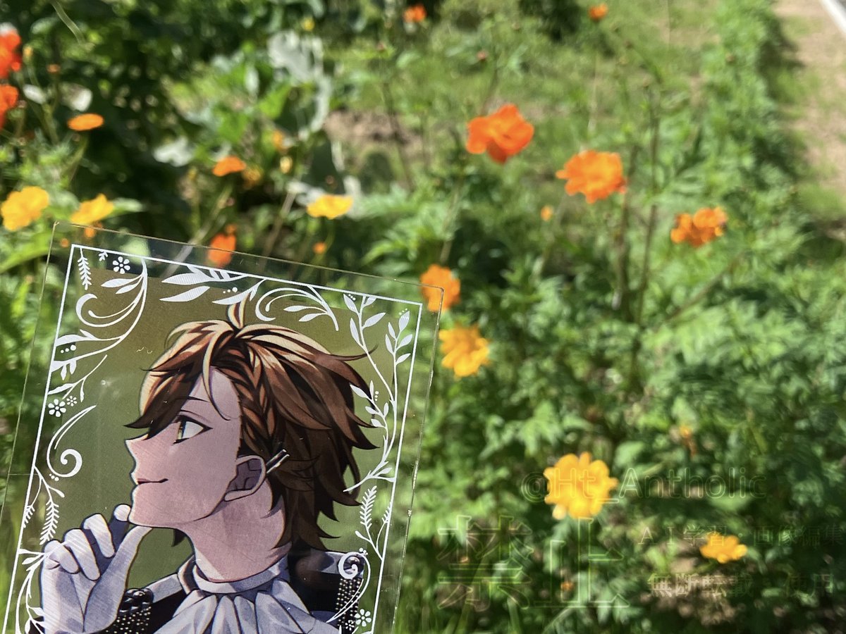 Ht_Antholic's tweet photo. 『花の日』2026
#AnthosFandom https://t.co/Ju23sIZkiy