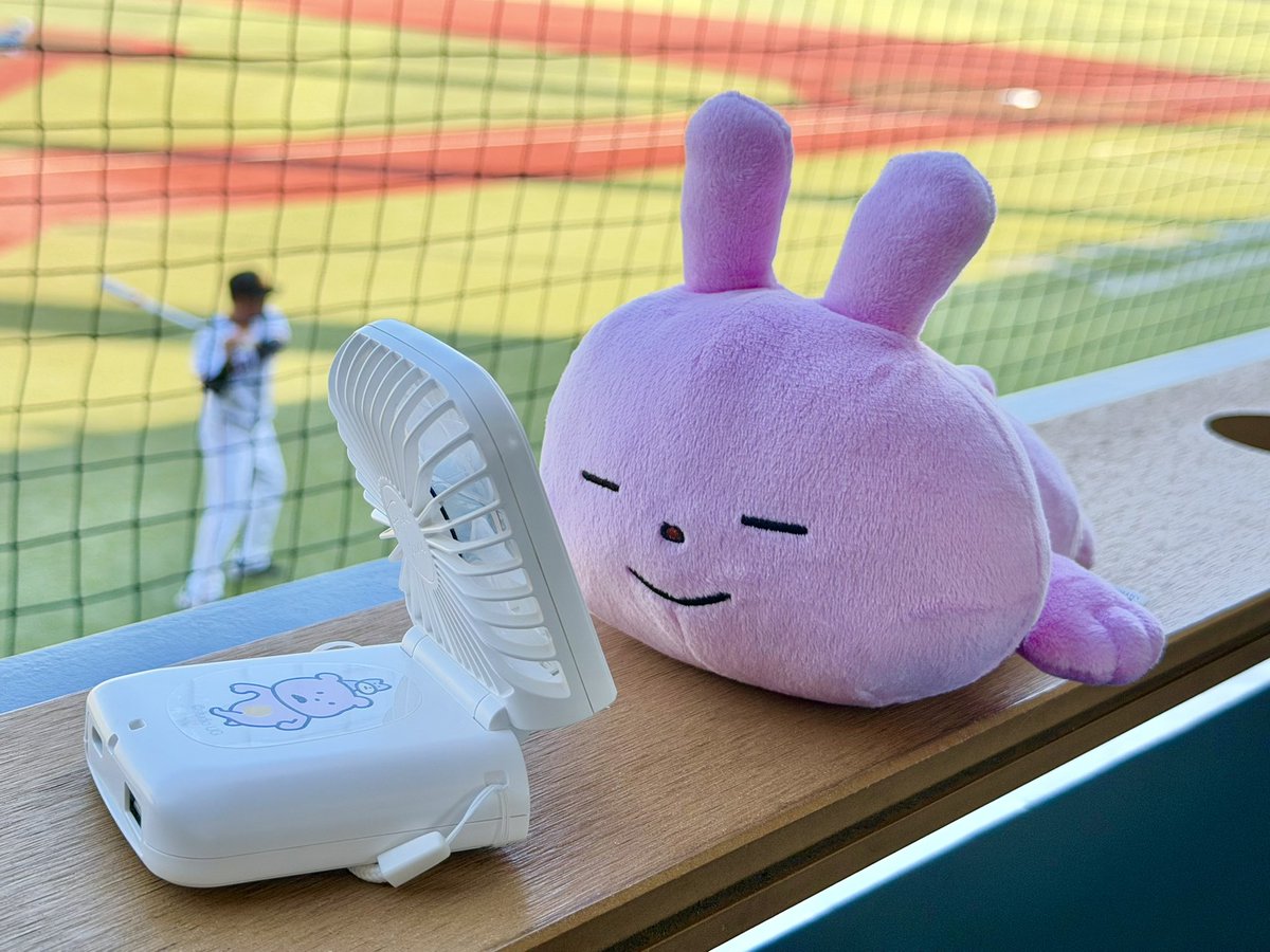 yama300000's tweet photo. 野球中継の途中ですが一旦CMです

お盆休みのお出かけに野球観戦に！
🧚‍♀️ぴこちゃんのもんもんファン🧚‍♀️ https://t.co/TYheG6kZZ6