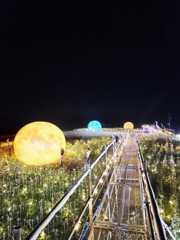 matama_tamane's tweet photo. 花とアートの岬 長崎鼻のひまわり畑で、
長崎鼻ひまわり回廊 金色 -konjiki-
がスタートしています🌻🌝

春の菜の花の時はショート撮ってみましたが、
それがバージョンアップしているようです✨

(short)菜の花畑に大きな月
https://t.co/7JaNQtyjeO https://t.co/8LxMFTCelE