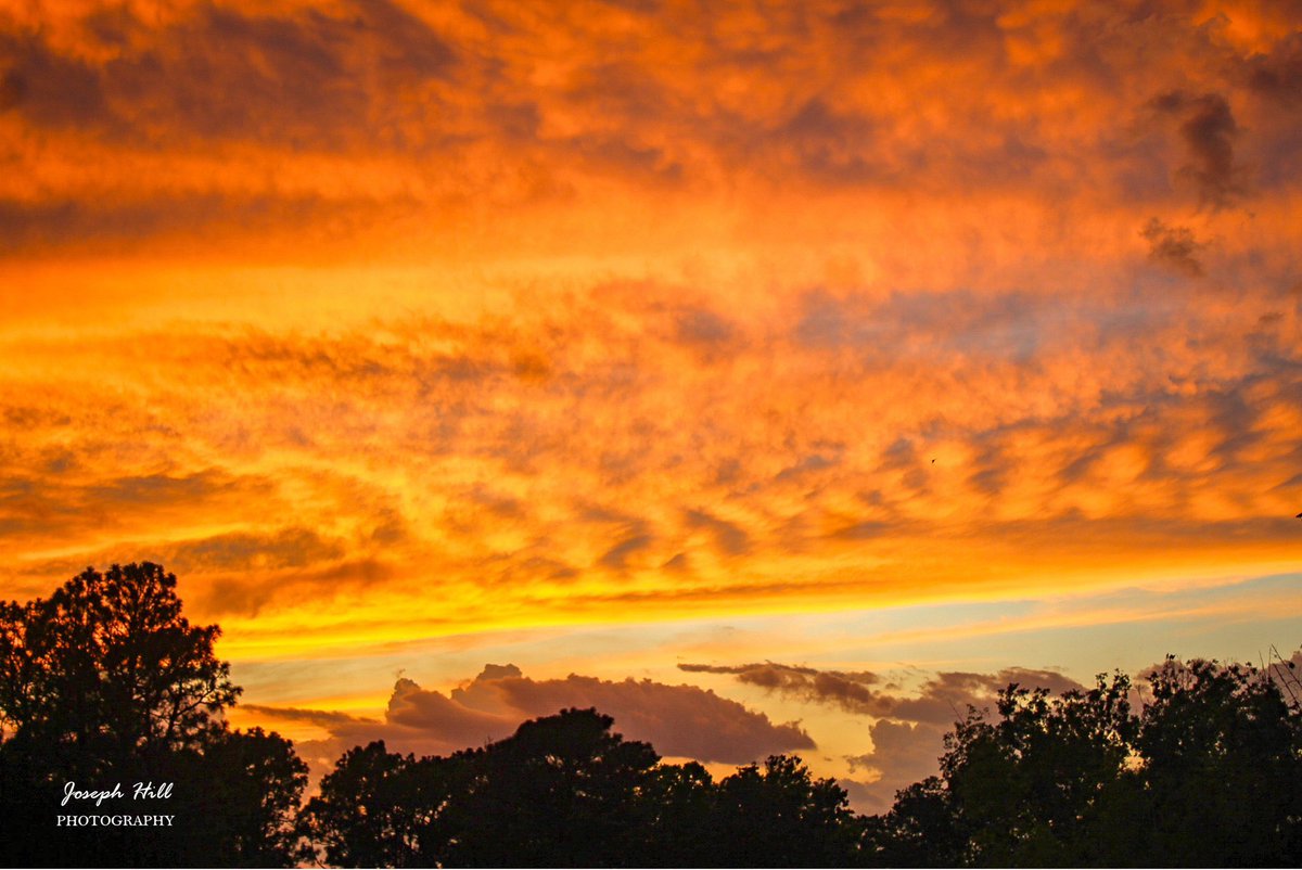 JosephHill3794's tweet photo. Fiery Orange Sunset☀️☁️
#August 2024
Photo By: Joseph Hill🙂📸☀️☁️
#sunset #cloudy #fierysky #orangesky #sky #trees #cloudscape #dusk #beautiful #colorful #Wow #awesome #peaceful #nature #summer #sunsetphotography #NaturePhotography #SouthernPinesNC https://t.co/QHRUi1xUnu
