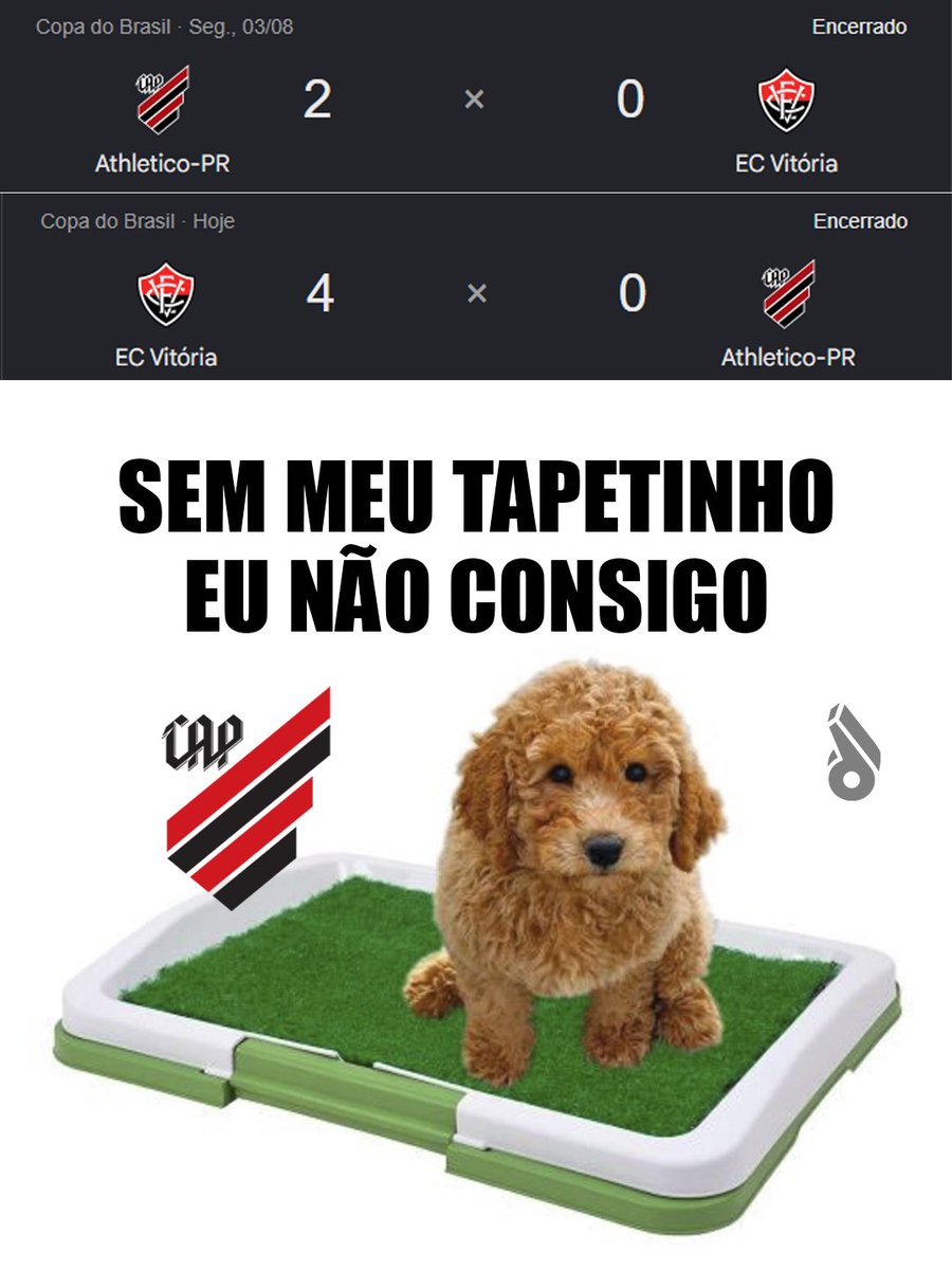 desimpedidos's tweet photo. Cadê o tapetinho 😭 https://t.co/xA8bCyH6WI