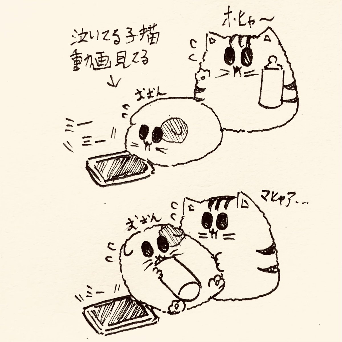 SAN02234693's tweet photo. #TLが殺伐としてるので仲良しを貼ろう https://t.co/ELxUM3mibU