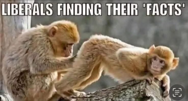 AlejandroDjsmv's tweet photo. @iAnonPatriot https://t.co/9lIyIovTYi