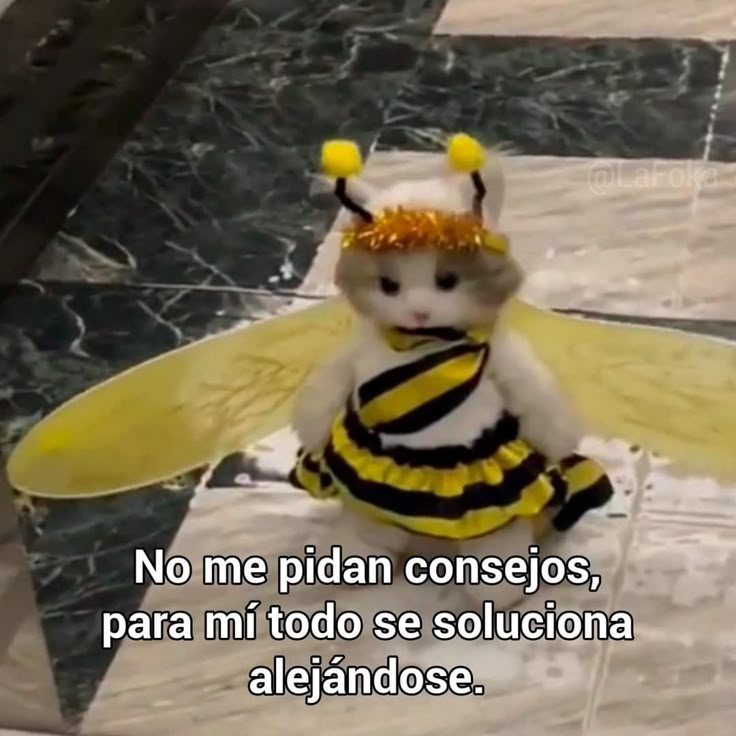 felipearay91's tweet photo. Mi mejor método #Yo https://t.co/8Op0iFMsg7