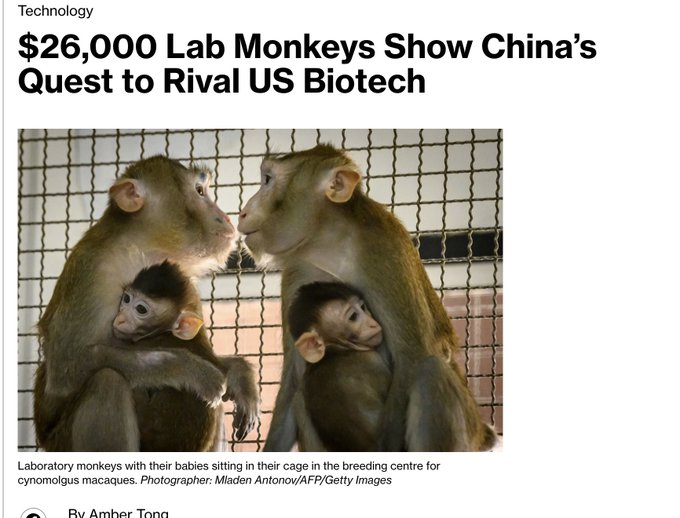 dv44444444's tweet photo. his is such a good narra

Chinese lab monkeys are going GIGA viral even bloomberg made an article about them

People are saying that they are going to be the next AI bottleneck

Even the post below got 2M views and it's getting talked shit ton on X

$CLM 

https://t.co/t1mL8nVaT6 https://t.co/57dUsyW5l9