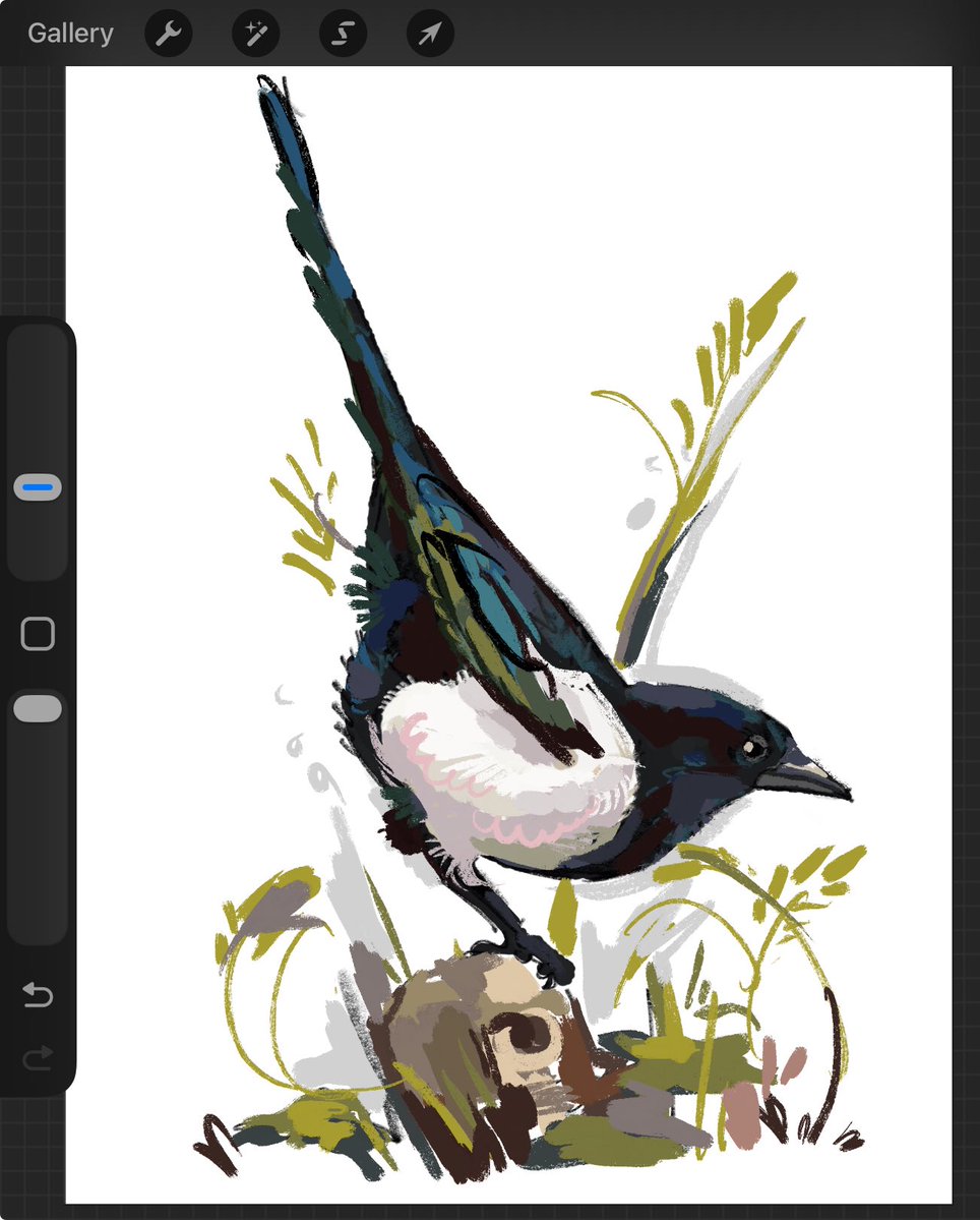 catslank's tweet photo. lovely little birds https://t.co/Zpntn3tGNP