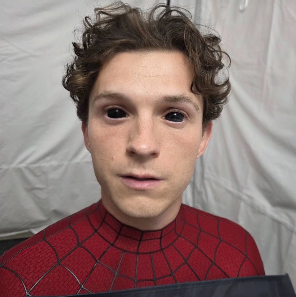 spideysbrie's tweet photo. https://t.co/2tskXPJ6sP