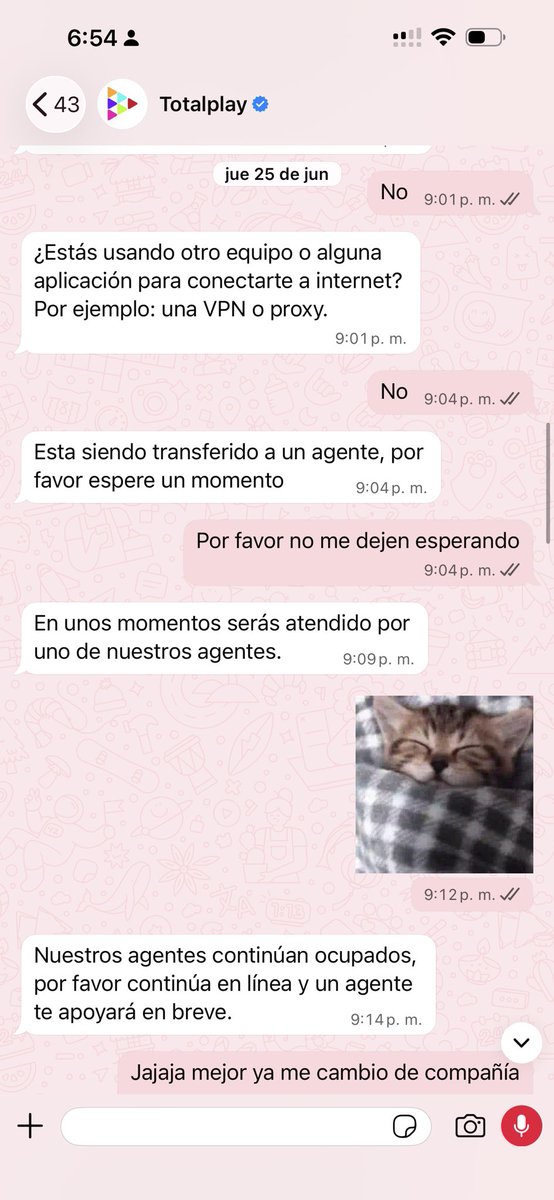 Mymikitten's tweet photo. Otra vez yo con mi campaña en contra de @totalplaymx 
Hoy les traigo coraje porque trataba de sacar los drives de ow y me dieron ban porque me sacó de partida, checo mi internet y todo “bien” 
Pero contratar totalplay significa vivir constantemente https://t.co/q5aQ7VYl8B
