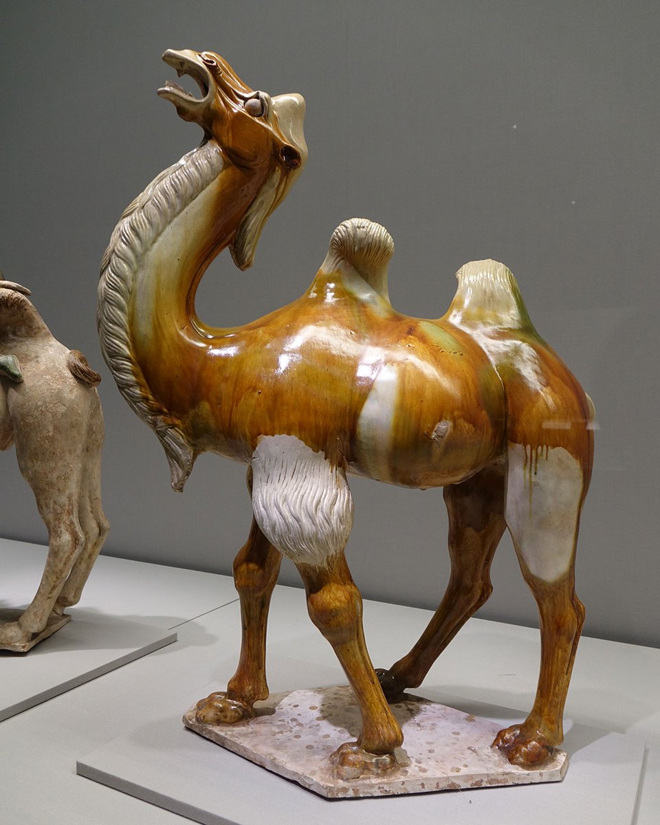🐪…ラクダに乗って🐪… 陶磁展示「中国の陶俑―土に託した不滅の生―」で