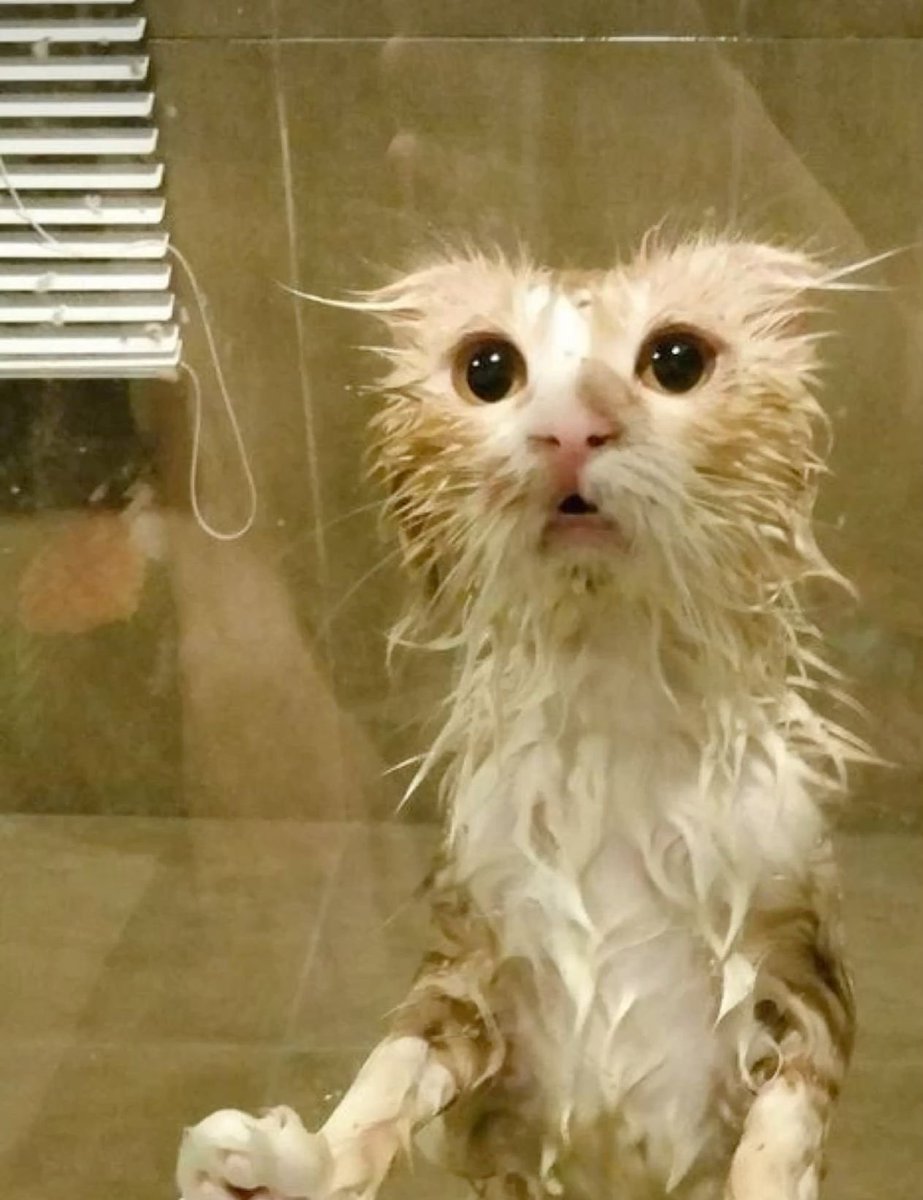 virmaxin's tweet photo. rained a lot today https://t.co/87Ald8p38m