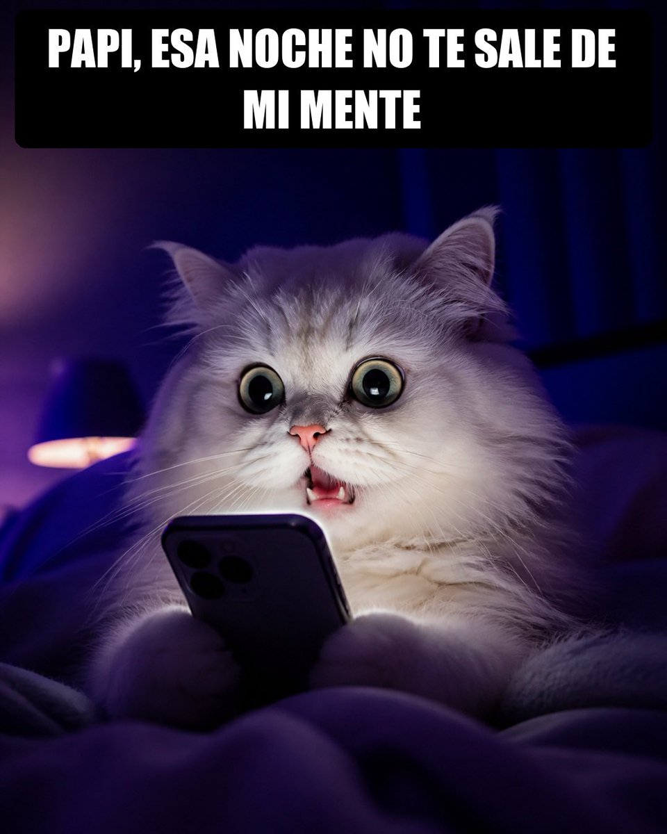 alonsospider25's tweet photo. El corito es pegajoso jajaja #FlaviaLaos #HumoYBotellas #Peru #Chile #Viral https://t.co/nuG4tAM5jd