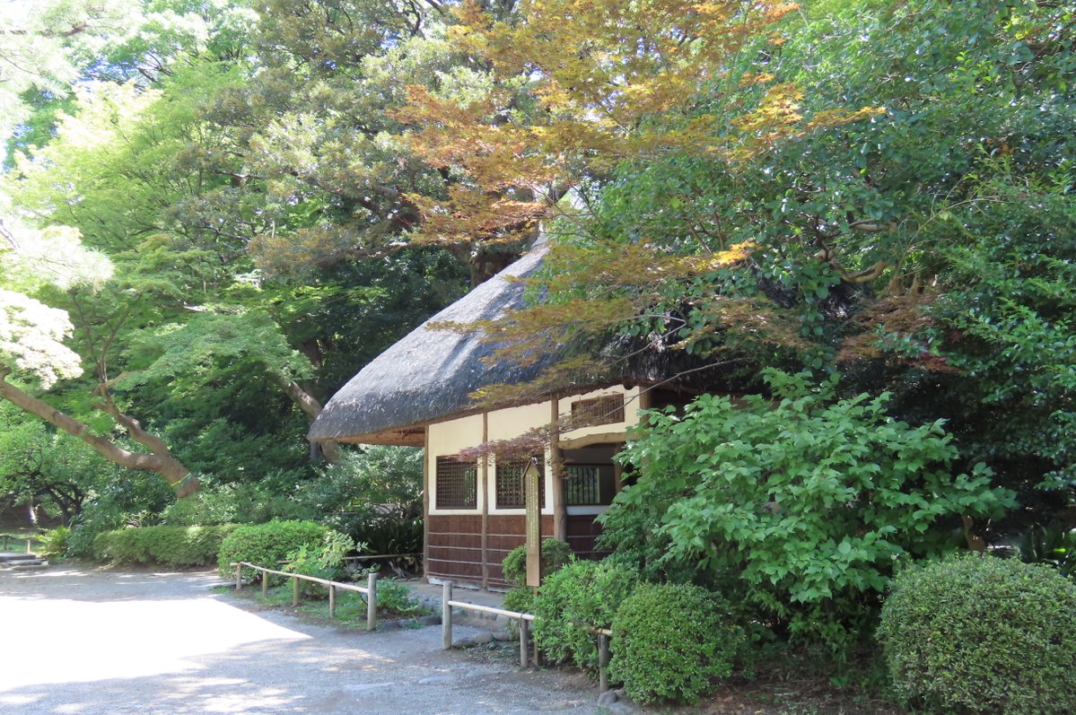 KorakuenGarden's tweet photo. 今日は立秋。
厳しい暑さが続いていますが、木陰を吹き抜ける風に、少し秋の気配を感じるようになりました。
明日から夏休みという方も多いかもしれません。
都心にありながら、田舎を訪れたような風景が広がる庭園で、自然と歴史を感じながら散策をお楽しみください。
#小石川後楽園
#文京区
#稲田 https://t.co/1oyisG4c57