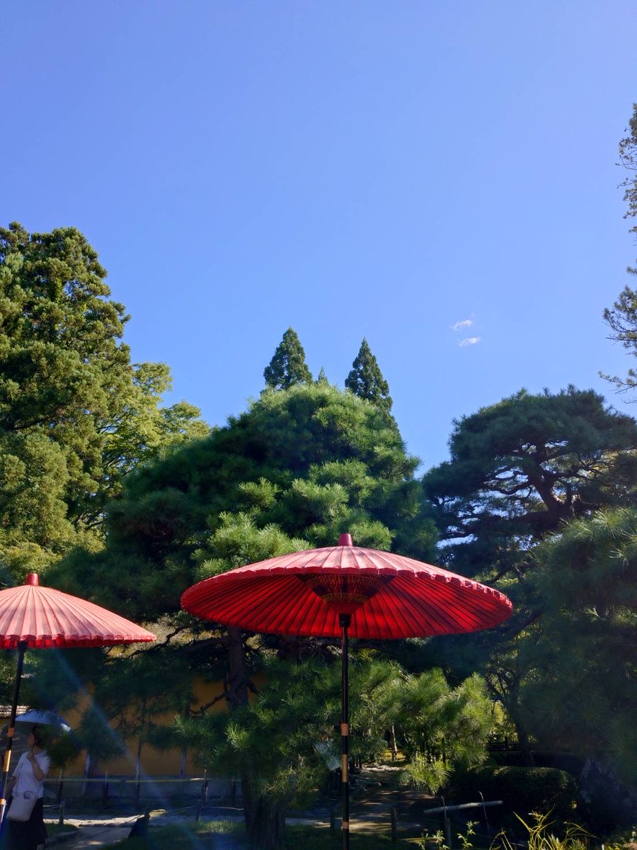 tsurugajo1965's tweet photo. こんにちは！

8/7（金） #今日の鶴ヶ城 です🏯

天気は晴れ☀️
最高気温は14時台に36℃の予想となっております🫠

鶴ヶ城公園内の茶室麟閣で、思わず「あっ、トトロ！」と言いたくなる景色を発見しました🌳

#会津 #会津若松 https://t.co/utHo1LEE8b