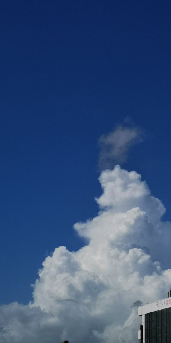 kumaming's tweet photo. ８月朝雲湧いてきた(*^^*)ﾜｸﾜｸ

#ｲﾏｿﾗ  #ｸﾏｸﾓ #雲友の会 https://t.co/vBr76Htokz