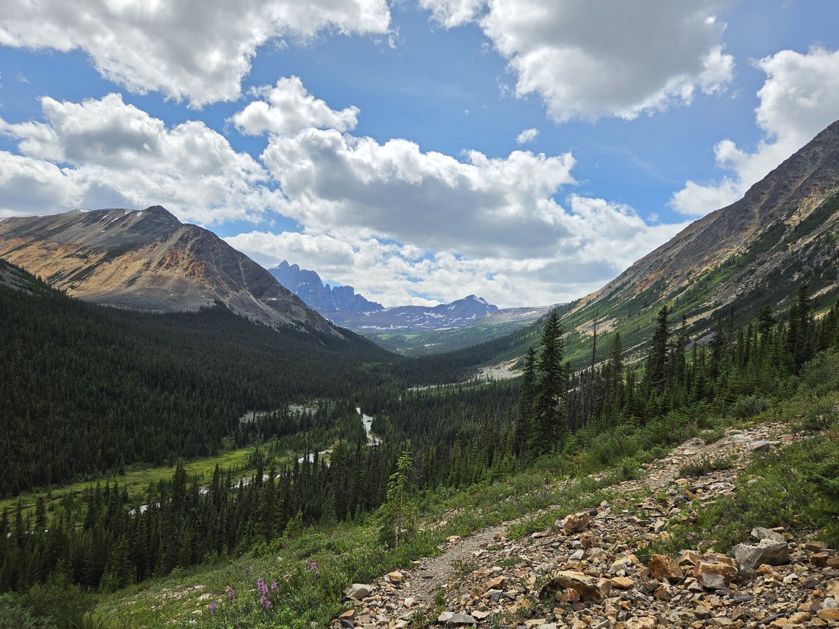YukonEventually's tweet photo. @Nadia03379363 Have yourself a relaxing and peaceful evening. https://t.co/jXxR2j8x0j
