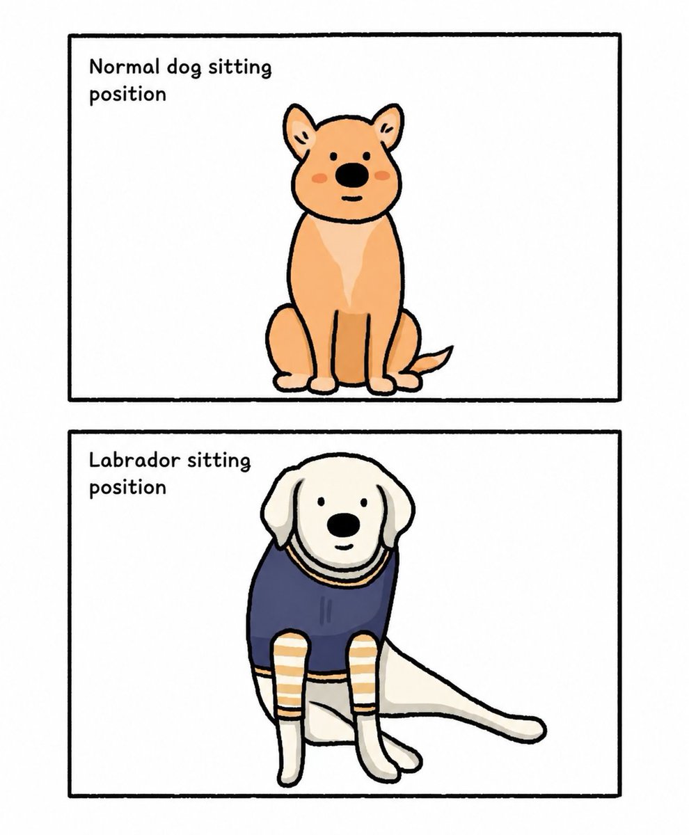 _cheesetaco's tweet photo. 这太可爱了…
#dogs #dogsoftwitter #labrador https://t.co/7OfQGuXu1h