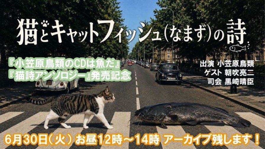 ryojiasabuki's tweet photo. 小笠原鳥類さんとライトバースの黒崎さんと鼎談しました。YouTubeトークイベント「猫とキャットフィッシュ（なまず）の詩」の字幕入り編集バージョン公開されました。

https://t.co/GepfKeMEQF

詩と猫と音楽が好きな人に。 https://t.co/zG6F8keVSz