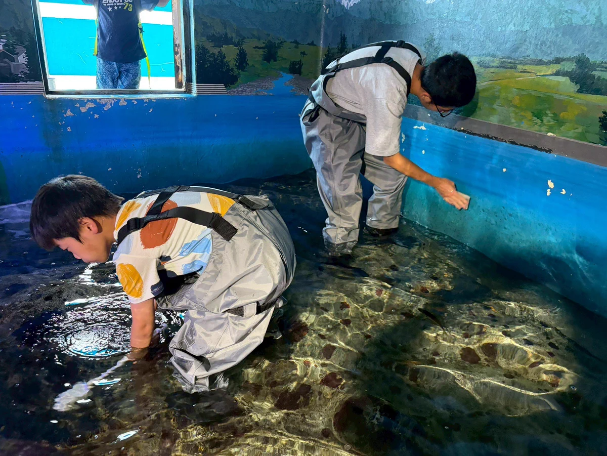 魚津水族館公式 (@uozuaquarium) / X