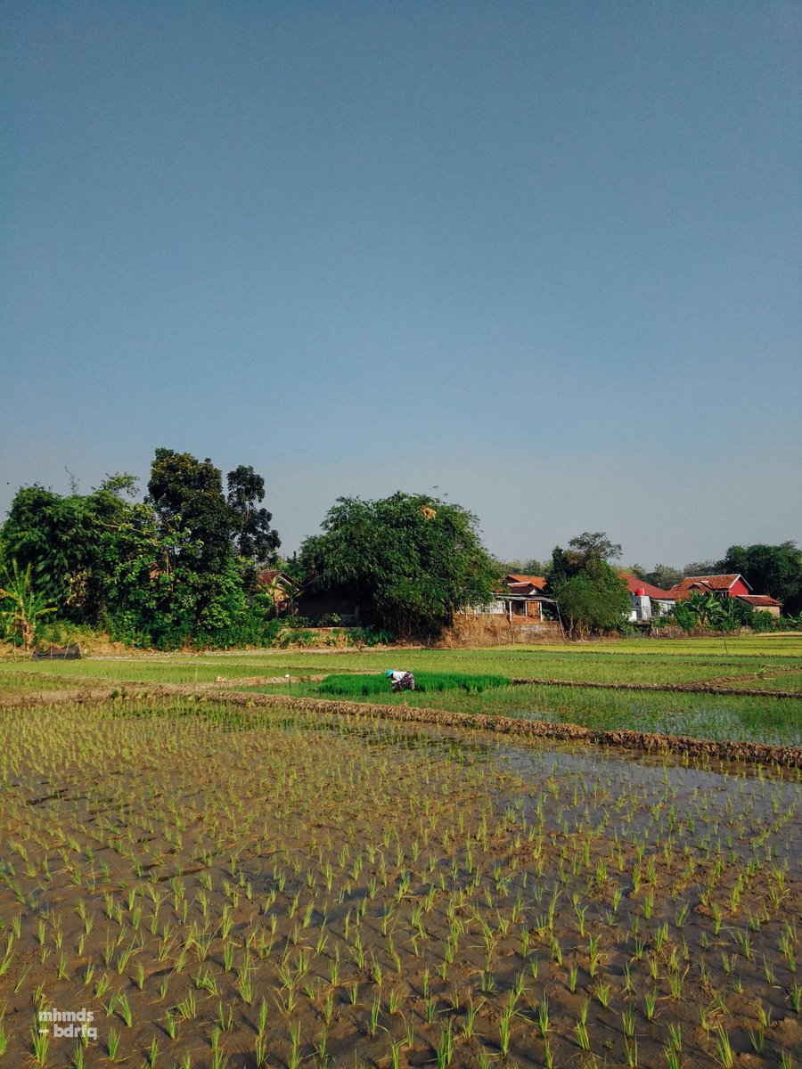 filosofiq_'s tweet photo. Visual hari ini. — 219/365
#RandomVisual | realme https://t.co/Goe4vOKPDu
