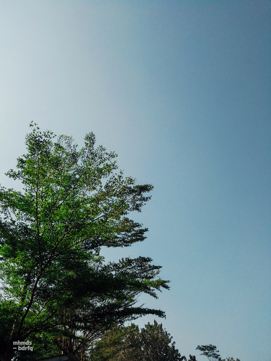 filosofiq_'s tweet photo. Visual hari ini. — 219/365
#RandomVisual | realme https://t.co/Goe4vOKPDu