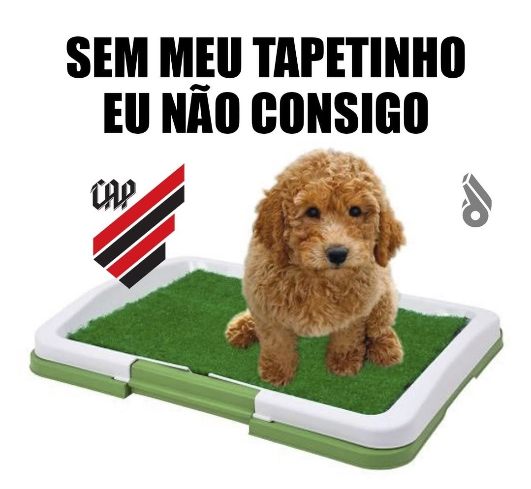 ParanaOpre's tweet photo. @sacoritiba https://t.co/oQQs5Hg9XK