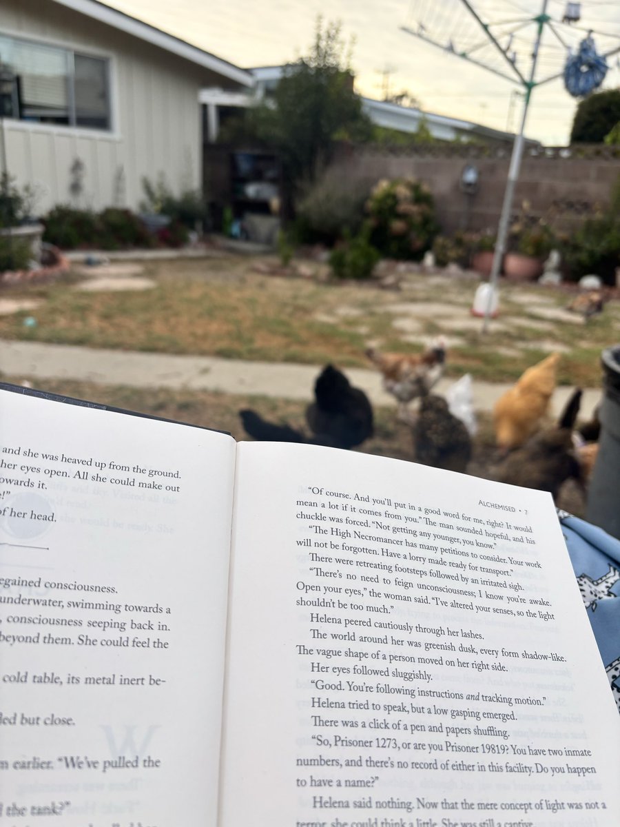 kyreeskyy's tweet photo. Reading with the chicks 🩷 https://t.co/kdcg8rgA9e