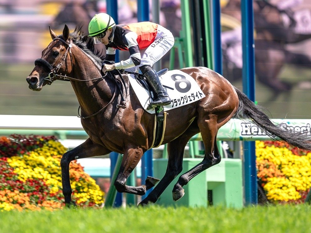 yggowners's tweet photo. 8月8日(土)の出走馬🏇

#ブラックジェダイト
札幌12R　摩周湖特別　３歳以上２勝クラス
芝1500m　16:00
7枠10番　佐々木大輔騎手 https://t.co/1X7rEDTsay